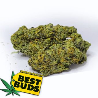 Blue Cookies